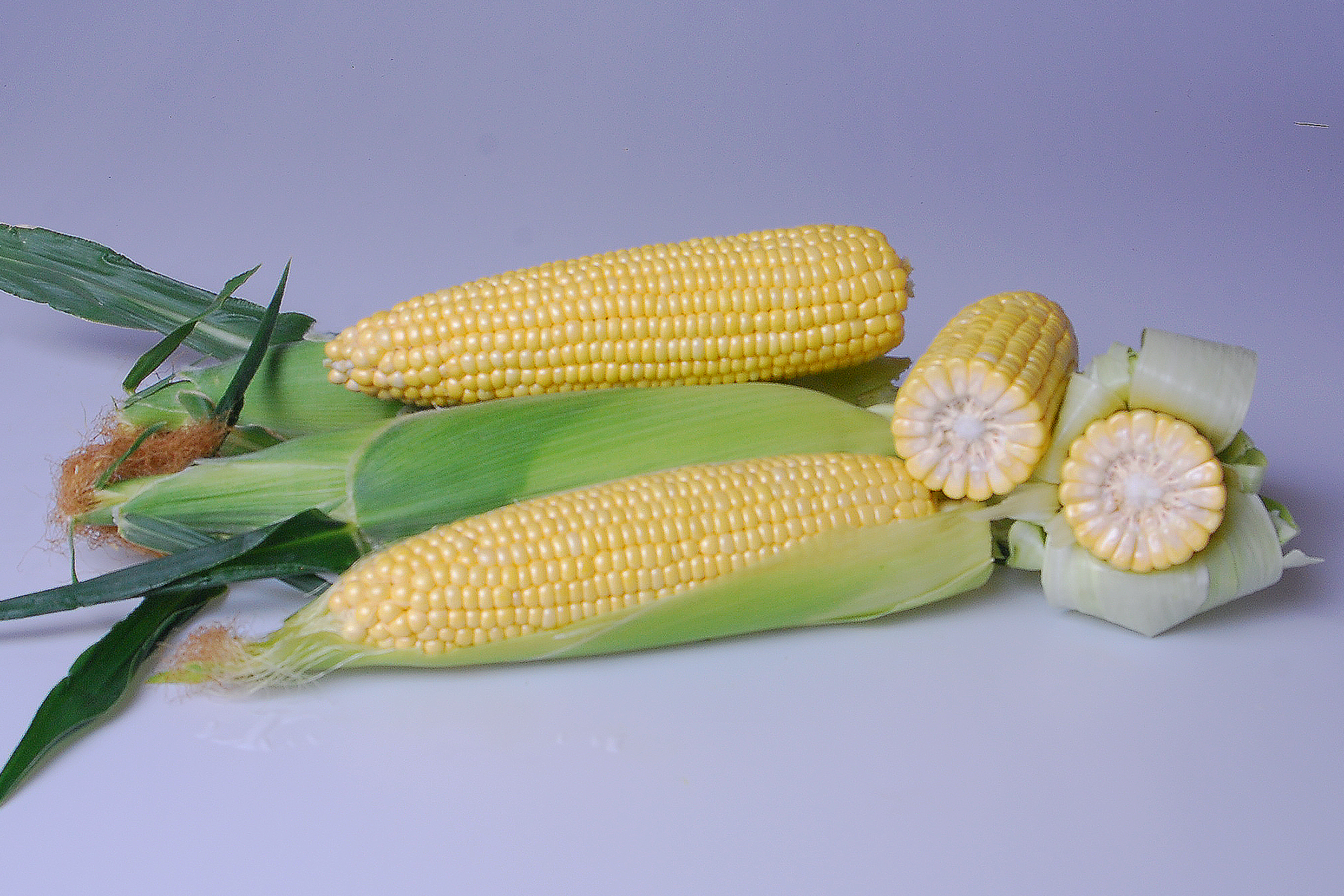 Galaxy Sweet Corn Processor Snowy River Seeds Ears on Table