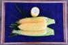 Galaxy Sweet Corn Processor Snowy River Seeds table top photo of ears